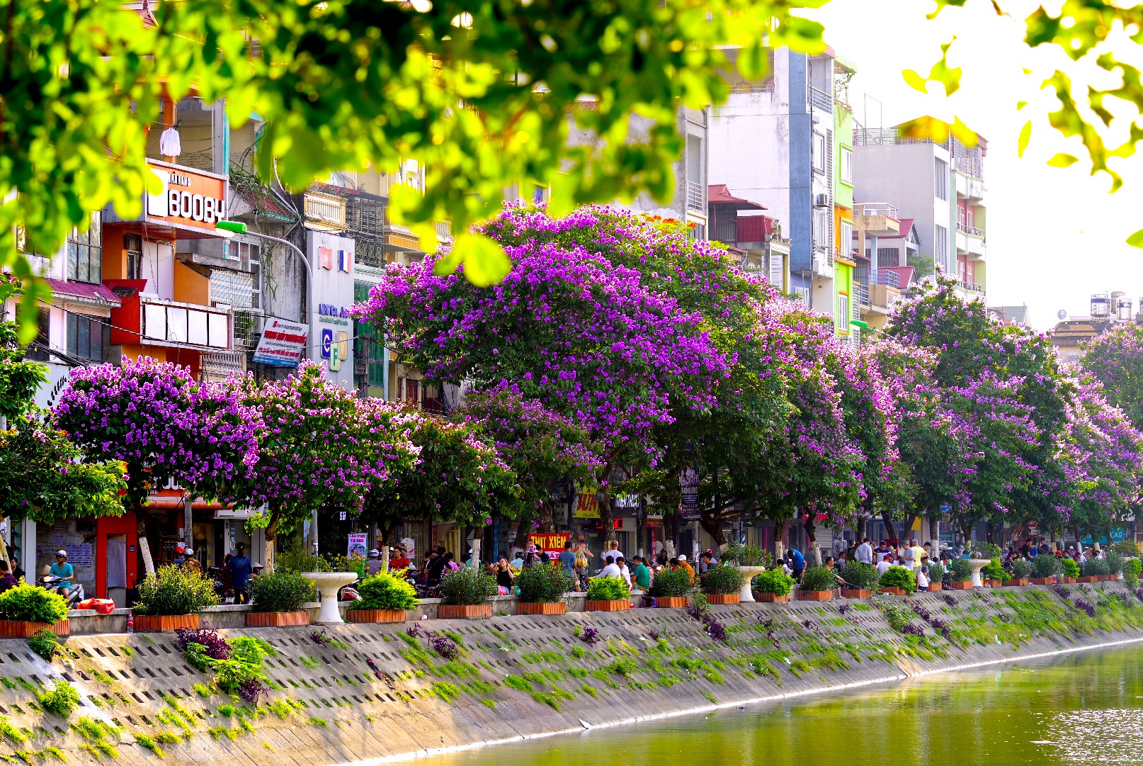 Mùa hè Hà Nội với ánh trải dài trên từng con phố